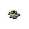 Metallic Skiploom